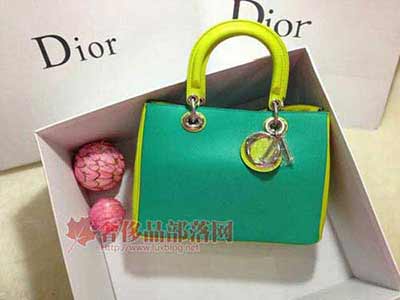 dior̻¿ȫƤŮ dior928 ̻