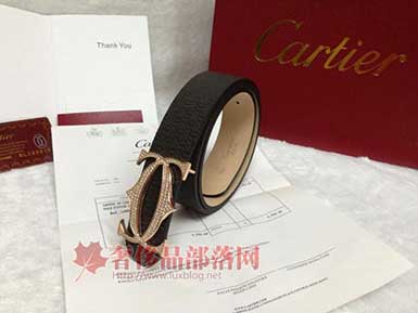 Cartier¿¿ݻƤ