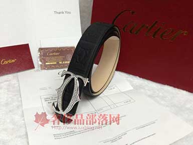 Cartier¿¿Ƥ