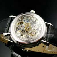 VACHERON CONSTANTIN/ʫԭװʿоƷζȫ͸бVC0170