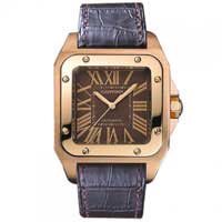 Cartier-SANTOSϵ W20127Y1 ʿе