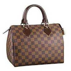 LVSPEEDY 25 N41532
